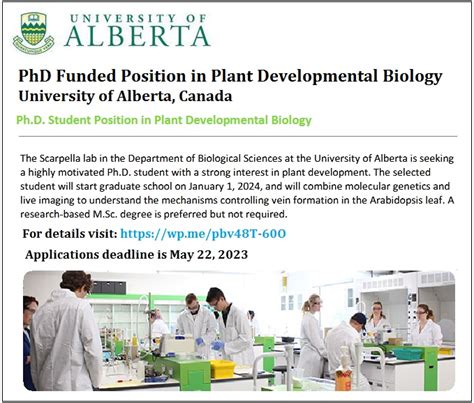 Ph.D. Student Position in Plant Developmental Biology.